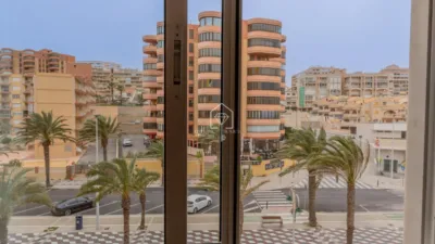Apartment in Los Arenales del Sol photo 9