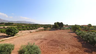 Rustic Finca in Albatera photo 30