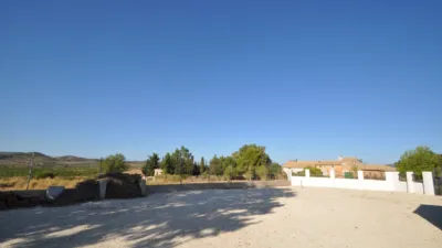Finca rústica en El Pinós - Pinoso photo 17