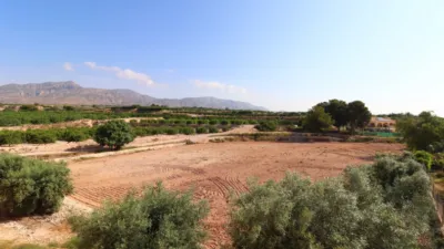 Rustic Finca in Albatera photo 6