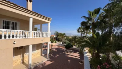 Chalet in Algorfa photo 28