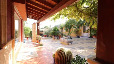Chalet in Algorfa photo 46
