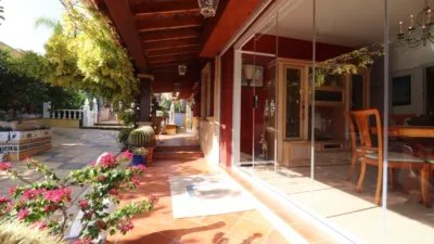 Chalet in Algorfa photo 32