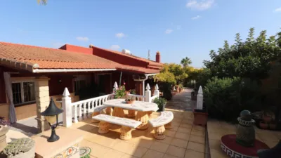 Chalet in Algorfa photo 49