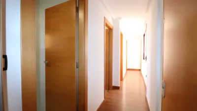 Apartment in Formentera del Segura photo 9