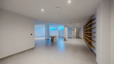 Chalet in Algorfa photo 33