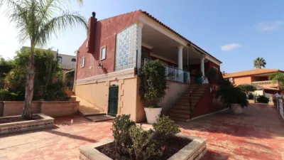 Chalet in Algorfa photo 38