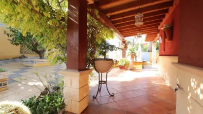 Chalet in Algorfa photo 45