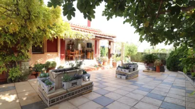 Chalet in Algorfa photo 47