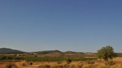 Finca rústica en El Pinós - Pinoso photo 18