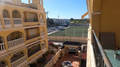 Apartment in Algorfa photo 19