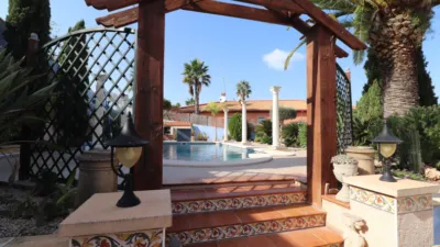 Chalet in Algorfa photo 48