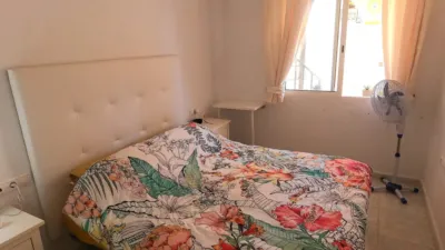 Apartment in Algorfa photo 8