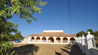 Finca rústica en El Pinós - Pinoso photo 14