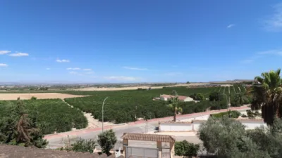 Chalet in Algorfa photo 41