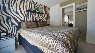 Chalet in Algorfa photo 7
