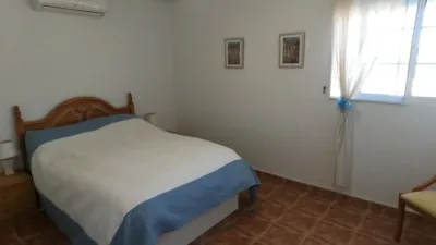 Chalet in Algorfa photo 39