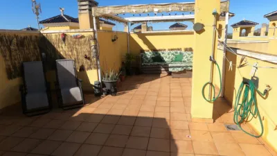 Apartment in Algorfa photo 4