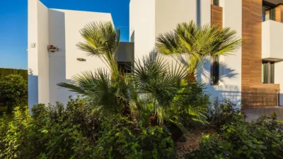 Chalet in Algorfa photo 10