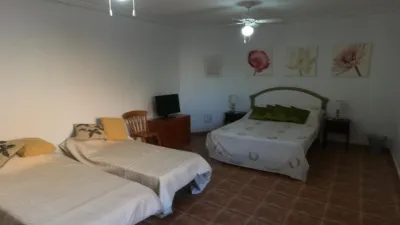 Chalet in Algorfa photo 30