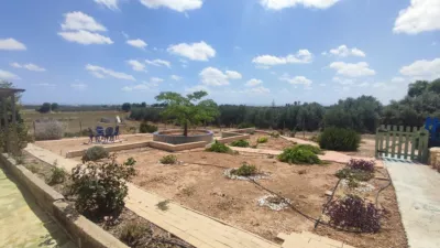 Finca rústica en venta en Algezares, Algezares (Distrito Pedanías Este. Murcia Capital) de 600.000 €