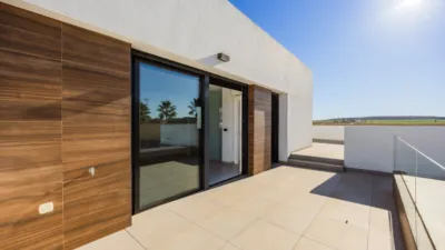 Chalet in Algorfa photo 16