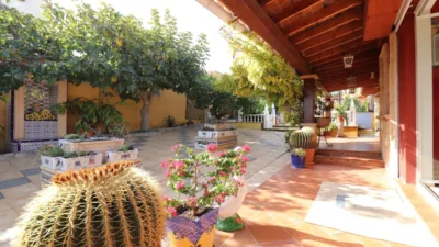 Chalet in Algorfa photo 33