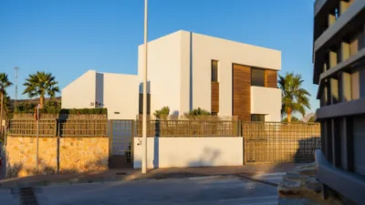 Chalet in Algorfa photo 13