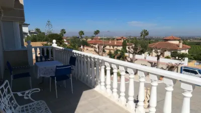 Chalet in Algorfa photo 18