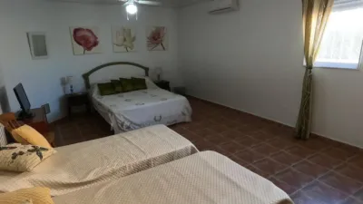 Chalet in Algorfa photo 35