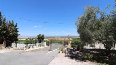 Chalet in Algorfa photo 38