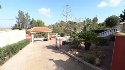 Chalet in Algorfa photo 42
