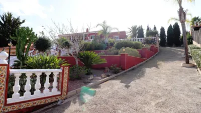 Chalet in Algorfa photo 41