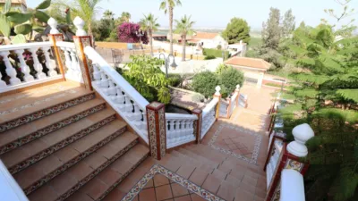 Chalet in Algorfa photo 43