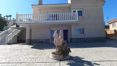 Chalet in Algorfa photo 26