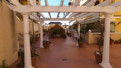 Apartment in Algorfa photo 29