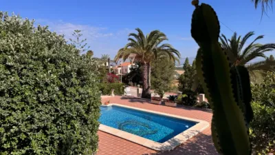 Chalet in Algorfa photo 25