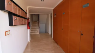 Apartment in Formentera del Segura photo 18