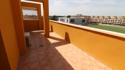 Apartment in Formentera del Segura photo 21