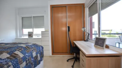House in Algorfa photo 19