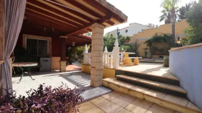 Chalet in Algorfa photo 50