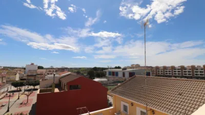 Apartment in Formentera del Segura photo 24