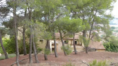 Rustic Finca in Ibi photo 32