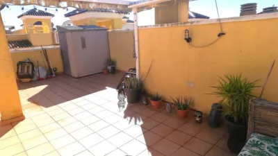 Apartment in Algorfa photo 20