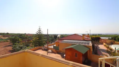 Rustic Finca in Albatera photo 27