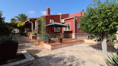Chalet in Algorfa photo 44