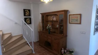 Chalet in Algorfa photo 43