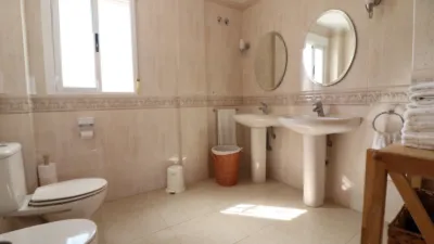 Chalet in Algorfa photo 10