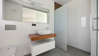 Chalet in Algorfa photo 20