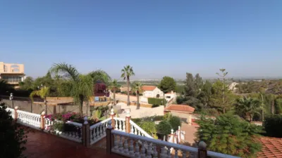 Chalet in Algorfa photo 40
